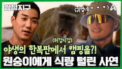 사파리 한복판에서 야생 동물들과 만나다?! 낭만 넘치는 반전 롯지