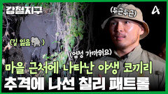 ※비상 상황※ 마을 근처에 코끼리가 나타났다?! 코끼리 추격 대작전