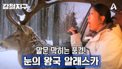 [예고] ＂진짜 이거 찐 야생이다＂ 강철여행자들도 놀란 눈의 왕국 알래스카