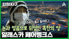 눈과 얼음으로 뒤덮인 혹한의 땅, 알래스카 페어뱅크스에 가다!