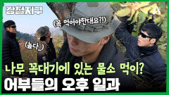 물소 먹이가 나무 꼭대기에 있어요...? 특별한 먹이 구하기