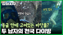 상남자의 라군 입수?! 천국으로 가는 길! 낭만 가득한 다이빙에 도전한 두 남자
