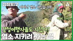 ＂저 못 돌아갈 것 같아요＂ 강철여행자들 KO! 염소 지키러가는 길이 이렇게 힘든 건가요?