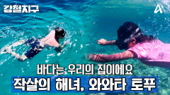 [예고] ＂바다는 우리의 집이에요＂ 작살의 해녀들을 만나다! 작살의 해녀 와와타 토프