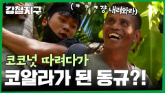 아파트 7층 높이의 나무를 맨발로 오른다?! 코코넛 따기 잼ㅎㅋ