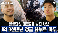 [예고] ＂나는 꿀 사냥꾼이다＂ 태고의 신비를 간직한 정글! 1억 3천만년 정글의 사투 픔부르 마두