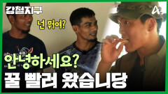 극한 직업 \