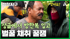 지옥 시작?! 열대 우림에서 방한복 입고 벌꿀 채취하기 잼ㅎ