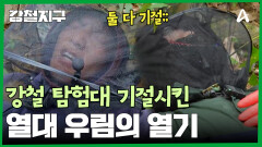 ＂진짜 죄송합니다＂ 강철 탐험대를 눕방시킨 정글의 열기;;