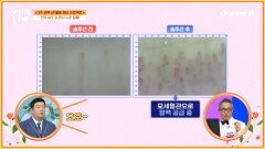 유령 혈관을 가지고 있던 도전자! 말초 미세 순환이 개선되었다?! 성공적인 결과에 웃음꽃 핀 도전자!