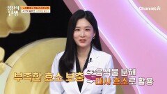 우리 몸속 부족한 효소를 보충한다! 소화를 돕고 뱃살 감소에 도움을 주는 \