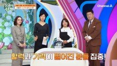 활력과 기력이 떨어진 분들은 집중! 오늘의 시크릿 솔루션의 정체는?