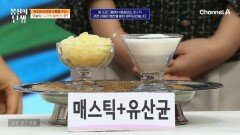 위 건강이 곧 장 건강! 두 마리의 토끼를 다 잡을 수 있는 매스틱+유산균?!