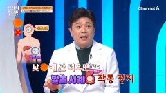 같은 칼로리를 먹어도 밤에 먹으면 지방이 더 붙는다!? 음식 먹는 것도 타이밍이 중요!