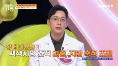 장 건강과 다이어트 한 번에 가능한 BNR17! 지방 축적을 감소시켜 준다?