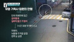 성추행 후 길가에 방치해 실명…유명 연예기획사 임원 송치 