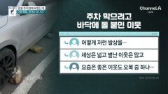 “여기 차대지 마”…바퀴 앞뒤로 돌 붙인 이웃 