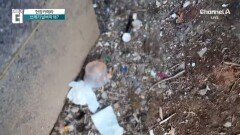 창문 밖으로 ‘휙’…못 보면 그만? 