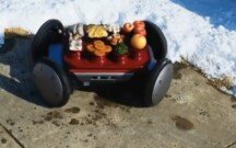 성묘 돕고 테니스 치고…더 똑똑해진 ‘로봇개’