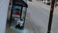 정류장 들이받고 ‘와장창’…사고 친 美 배달로봇
