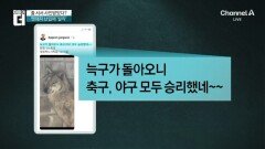 “늑구 돌아오니 승리”…알고 보니 ‘승리요정’?