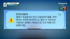 이번엔 사슴 탈출…“자극 말고 대피” 경고