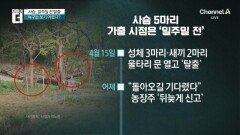 사슴 5마리, 일주일째 가출 중…신고 늦은 이유는?
