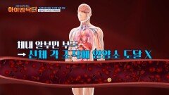 건강한 식습관을 가져도 노쇠해지는 몸! 혈관 질환이 생기기도 한다! 이 모든 것은 알부민이 부족하기 때문?