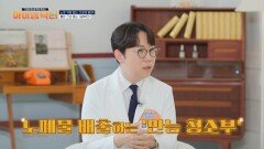 만능 청소부 알부민! 혈관 건강까지 도움을 준다? 노폐물과 독소 배출은 '알부민'에게 맡겨라!