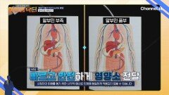 빠르고 안전하게 우리 몸 영양소를 구석구석 전달하는 알부민