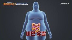 뱃살 스트레스는 카무트 효소로 해결! 나잇살 관리까지 도와주는 관리템이 되었다