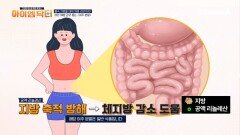 나이와 함께 찌는 뱃살도 막아주는 \
