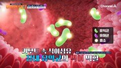 괴로운 변비를 타파할 수 있다?! 카무트 효소 섭취로 장 건강을 지키자!
