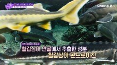 관절 건강에 탁월한 철갑상어 콘드로이친! '통증'을 유발하는 염증까지 차단한다?