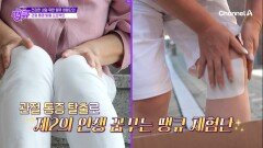 통증 감소에도 도움을 주는 콘드로이친 섭취 후 새롭게 변화한 땡큐 체험단?!