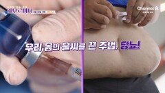 [예고] 내 몸속 생명의 불을 피워라! 지금 여러분의 체온은 어떤가요?