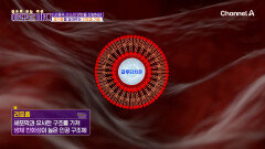 흡수율의 기적: 세포까지 전달되는 \