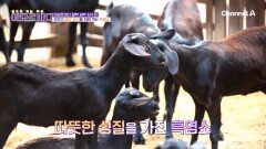 혈당 관리에 최고인 \