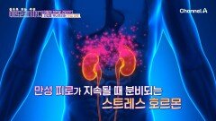 건강을 무너뜨리는 만성 피로! 과연 어떻게 회복할 것인가ㅠ?
