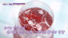 그래서 대체 '레드 와인 비니거'의 정체는 뭔가요?!