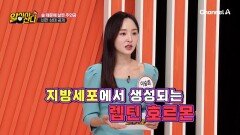 헉, 지방이 염증 물질 생성 호르몬을 만든다고요?! 그럼 어떡해요?! '이것'을 먹으면 됩니다!