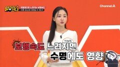 관절염으로 보행속도도 느려진다?! 수명을 깎아 먹는 관절 통증의 심각한 위험성! 