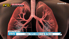 야식 먹고 살찌면 생기는 무서운 질환?! 알레르기 천식과 역류성 식도염의 비밀