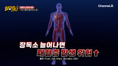 허리둘레 5cm 감소 실화? 지방 태우는 유전자를 깨우는 'BNR17'의 놀라운 효과