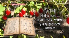 혈관에 쌓인 혈전 시한폭탄과 같다! 혈관 속 청소부 역할을 하는 구기자 속 풍부한 베타인 