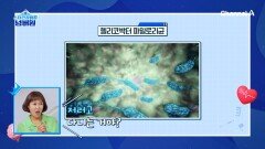 무심코 먹은 음식들이 헬리코박터 파일로리균이 살기 좋은 환경을 만든다! 