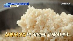 면역력 가득 밥상! 상황버섯쌀로 지은 밥맛은?