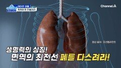 생명력의 상징! 폐 건강을 지키기 위한 방법 대공개!?