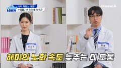 기억 저장소인 \