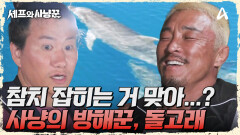 오늘 참치가 잘 안잡히는 날이라고...? 낚시를 방해하는 돌고래 등장